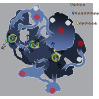 RLHC CR 1 Campaign (Solo Boss Kill)