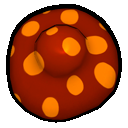 Mushroom Spore